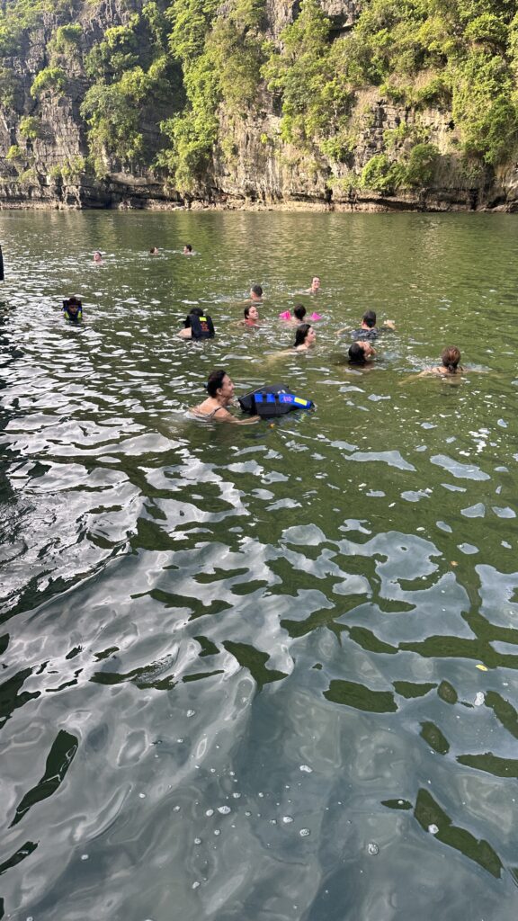 Image of tourist swimming in the Ha Long Bay