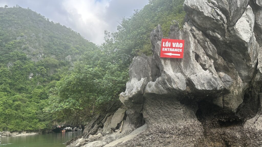 Image of a limestone rock in Ha Long Bay, Vietnam. The rock is tall and jagged, and it rises up from the turquoise waters of the bay. The rock is covered in green vegetation, and it is surrounded by smaller rocks and islands.